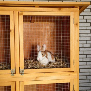 hazenhok konijnenhok hoenderhok nieuw gratis levering 2j garantie - 2