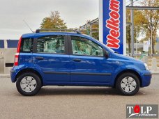 Fiat Panda - 1.1 Young