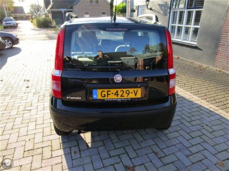 Fiat Panda - 1.2 Edizione Cool - 1