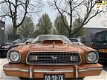 Ford Mustang - null - 1 - Thumbnail