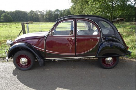 Citroën 2 CV - 2CV6 Charleston Compleet gerestaureerd - 1