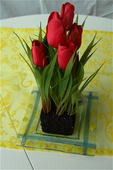 TULP ROOD MET AARDE NIEUW - 1