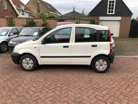 Fiat Panda - 1.1 Active - 1