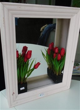 LIJST MET SPIEGEL ROSE GROOT 48x38x9 CM Nieuw - 1