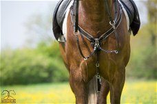 Nieuw Profi-Rider Borsttuig + Afneembare Martingaal Zwart