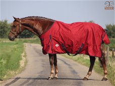 Nieuw Profi-Rider Regendeken KatoenGevoerd Burgundy 175tm215