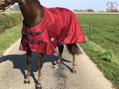 Nieuw Profi-Rider Regendeken KatoenGevoerd Burgundy 175tm215 - 2