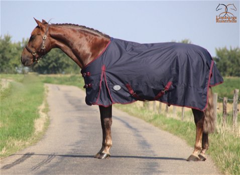 Nieuw Profi-Rider Regendeken Katoen Gevoerd Blauw 175 tm 215 - 1