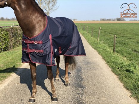 Nieuw Profi-Rider Regendeken Katoen Gevoerd Blauw 175 tm 215 - 2