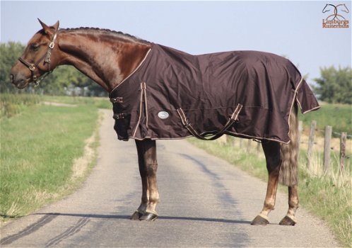 Nieuw Profi-Rider Regendeken Fleece Gevoerd Bruin 175 tm 215 - 1