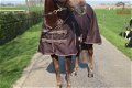 Nieuw Profi-Rider Regendeken Fleece Gevoerd Bruin 175 tm 215 - 2 - Thumbnail