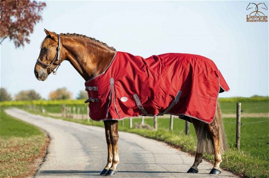 Nieuw Profi-Rider Regendeken Winterdeken 150 gram Waterdicht - 1