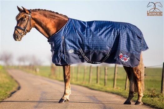 Nieuw Profi-Rider Winterdeken Waterdicht BlauwGeblokt 300g - 1