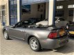 Ford Mustang Convertible - USA 3.8 V6 - 1 - Thumbnail