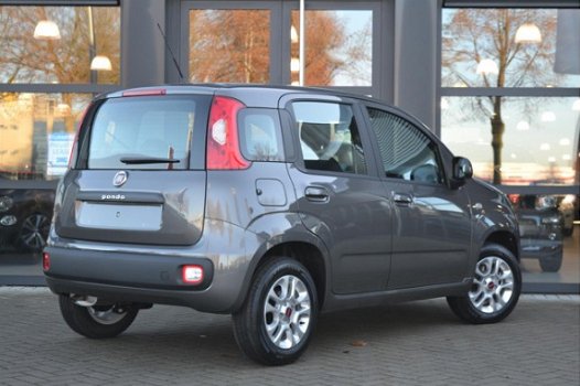 Fiat Panda - 1.2 69 Lounge | Airco | Bluetooth | 14'' LM velgen *ACTIE - 1