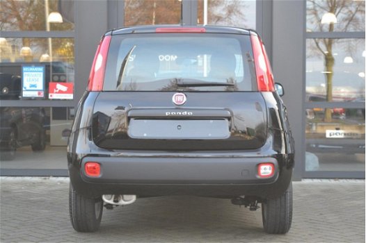 Fiat Panda - 1.2 69 Lounge | Airco | Bluetooth | 14'' LM velgen *ACTIE - 1