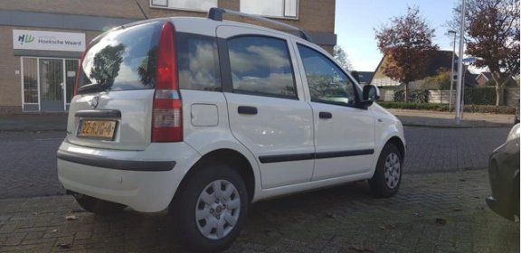 Fiat Panda - 1.2 Edizione Cool - 1