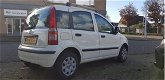 Fiat Panda - 1.2 Edizione Cool - 1 - Thumbnail