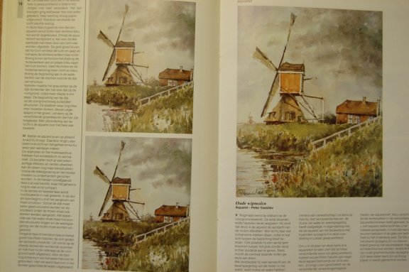 Ons landschap in beeld. Stap voor stap in aquarel en grafiet - Afbeelding 3