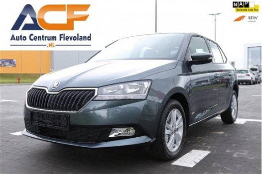 Skoda Fabia - 1.0 Ambition winterpack camera apple car play - 1