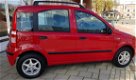 Fiat Panda - 1.2 Dynamic automaat - 1 - Thumbnail