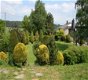 Landelijk gelegen, Groepsaccommodatie 2020 huren in Ardennen - 5 - Thumbnail