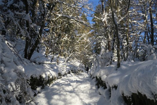 Voorjaarsvakantie 2020 Gite bij skipiste gelegen in Ardennen. - 5