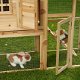 konijnenhok hoenderhok nieuw gratis verzending - 5 - Thumbnail