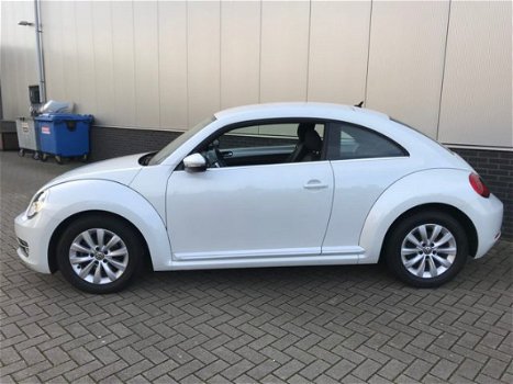 Volkswagen Beetle - 1.2 TSI DESIGN RIJKLAAR / BOVAG - 1