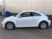 Volkswagen Beetle - 1.2 TSI DESIGN RIJKLAAR / BOVAG - 1 - Thumbnail