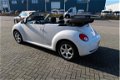 Volkswagen New Beetle Cabriolet - 1.6 Highline Freestyle Airco Sportvelgen 16 inch Cabrio elektrisch - 1 - Thumbnail