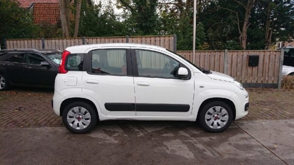 Fiat Panda - 1.2 Edizione Cool Rijklaarprijs - 1