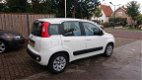 Fiat Panda - 1.2 Edizione Cool Rijklaarprijs - 1 - Thumbnail