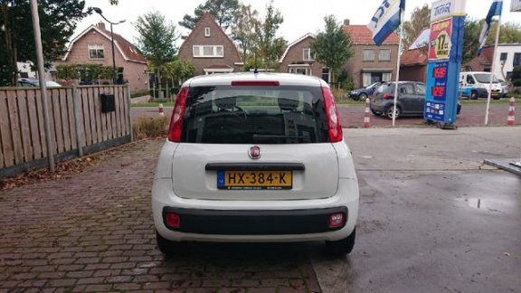 Fiat Panda - 1.2 Edizione Cool Rijklaarprijs - 1