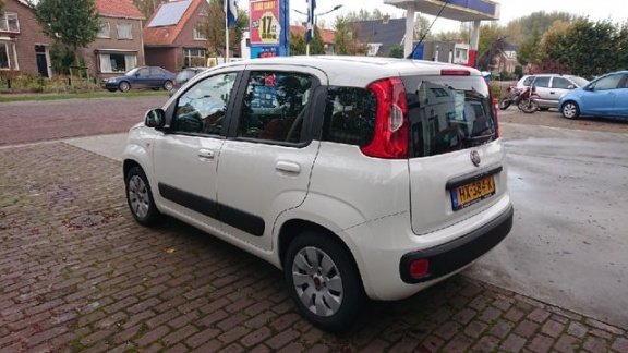 Fiat Panda - 1.2 Edizione Cool Rijklaarprijs - 1