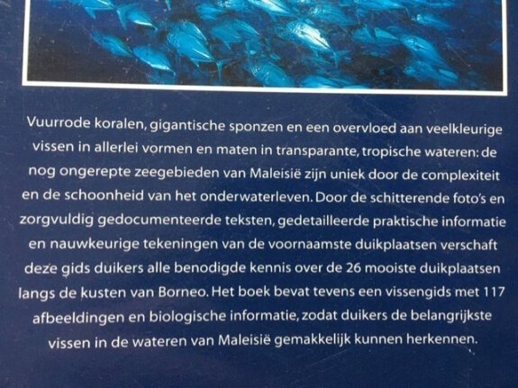Duiken bij Maleisië - Ferrari - Afbeelding 2