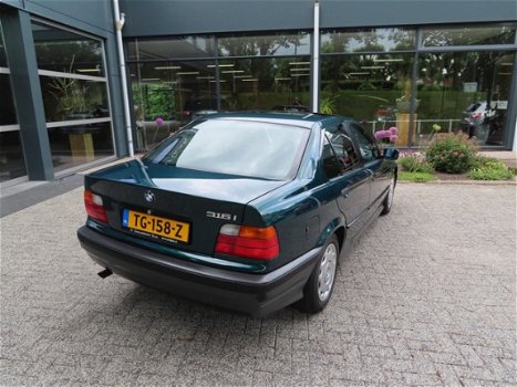 BMW 3-serie - 316 i youngtimer 39000 km roestvrij - 1