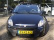 Fiat Punto Evo - 1.3 M-Jet Dynamic *ECC* Exportprijs - 1 - Thumbnail