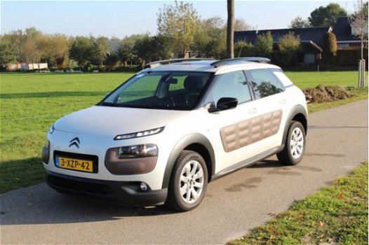 Citroën C4 Cactus - 1.2 PureTech Business | Navigatie | Achteruitrijcamera | Panoramadak - 1