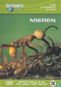 Mieren (DVD) Discovery Channel - 1