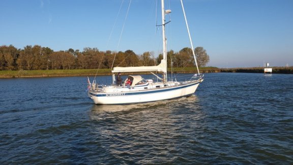 Hallberg Rassy 39 Mk1 - 5