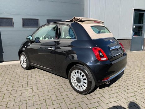 Fiat 500 - 1.2 cabro lounge - 1