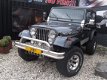 Jeep Wrangler - 4.0i *CJ7 EDITION - 1 - Thumbnail