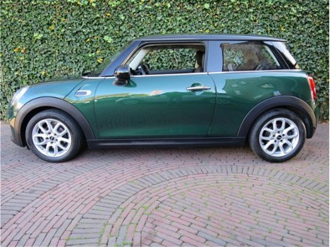 Mini Mini Cooper - 1.5 Pepper F56 met Navi, Clima, 16