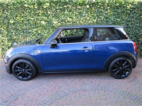 Mini Mini Cooper - 1.5 Pepper F56 met PDC, Clima, 17