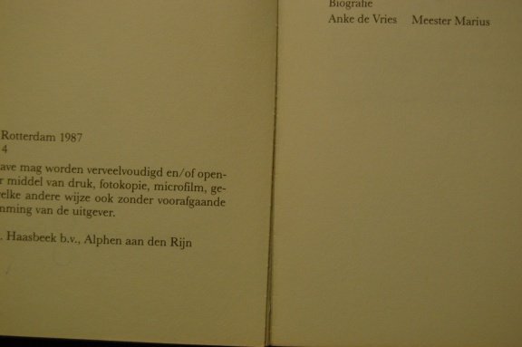 Het schrijversboek - Afbeelding 2