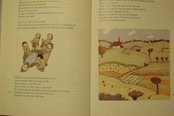 De wezen van woesteland - Afbeelding 2