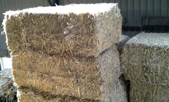 Grote balen Miscanthus stro te koop bij Delfzijl - nr. 1
