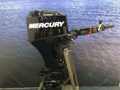 Mercury 50 pk big tiller - 5