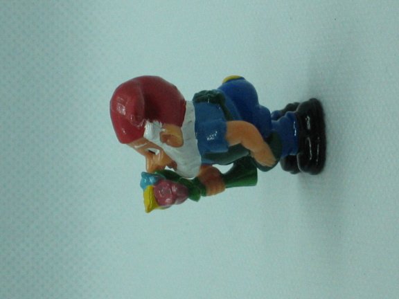 Dwergen Over 4 Seizoenen - Kinder Surprise - 1998 - Flori Flower - Afbeelding 6